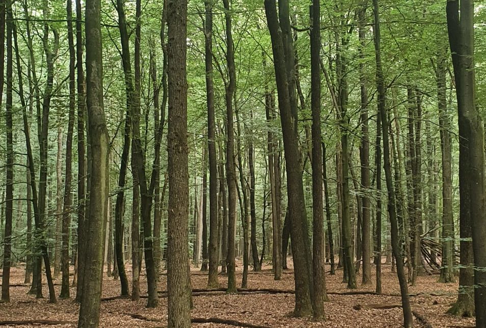 Oktober woonmaand akties